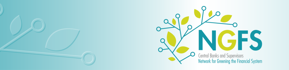 The Climate Impact Explorer - the Network for Greening the Financial System (NGFS)