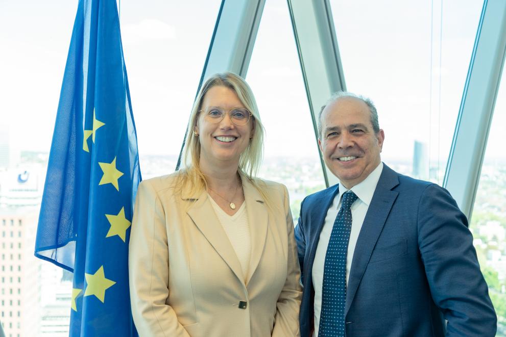eiopa_ph_and_fp_2024_2.jpg